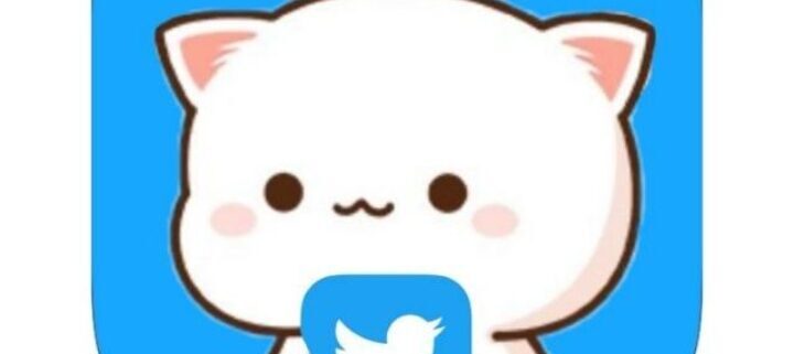 grupo de whatsapp seguidores de twitter